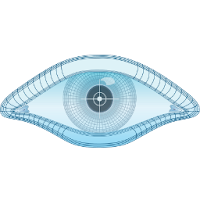 Zenmap (Nmap GUI)